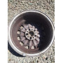 Диск литий Mercedes - Benz  R16 7.5j PCD5*112 ET42 DIA66.6 (сірий)|A2114011402|