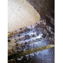 Диск литий Renault  R16 6.5j PCD4*100 ET40 DIA60.1 (сірий)|8200293958|
