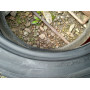 Автошини Dunlop SP Sport Maxx GT 255/45 R20  101W 3мм  Літо Б/У