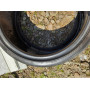 Автошини Hankook Ventus V12 Evo 275/30 R19  96Y 4мм  Літо Б/У