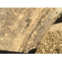 Автошини Bridgestone BS /80 R20   3мм  Всесезонна Б/У