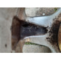 Диск литий Nissan  R13 5.5j PCD4*100 ET38 DIA59.1 (сірий)|KBA42798|