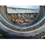 Автошини Michelin Energy LX 4 245/60 R17  108T 6мм  Всесезонна Б/У