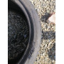 Автошини Pirelli P Zero ao 265/35 R20  99Y 6мм  Літо Б/У