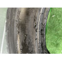 Автошини Semperit Direction Sport 205/55 R16  91W   Літо Б/У