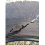 Автошини Michelin Agilis 215/65 R16 C 109/107T 3мм  Літо Б/У