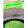 Автошини Pirelli Drago P5000 195/50 R15  82V   Літо Б/У