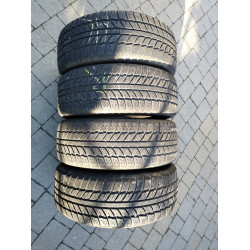 Автошини Evergreen Winter ew62 radial 225/60 R16  98H 5.5 мм  Зимова Б/У