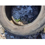 Автошини Kleber Krisalp HP  225/55 R16  95H 5мм  Зимова Б/У