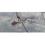 Автошини GT Radial GT659+ 315/80 R22.5  156/150L 6мм  Всесезонна Б/У