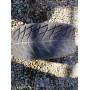 Kenda Speedracer 165/70 R10