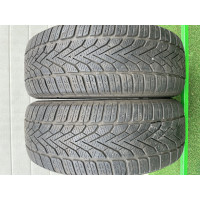 Автошини Semperit Speed-Grip 2 205/55 R16  91H   Зимова Б/У
