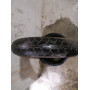 Bridgestone Battlax BT020F 120/70 R17  58W