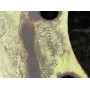 Диск Стальний   R26 14.0j PCD8* ET DIA (зелений)|4414010001|