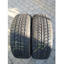 Автошини Evergreen Winter ew62 radial 225/60 R16  98H 5.5 мм  Зимова Б/У