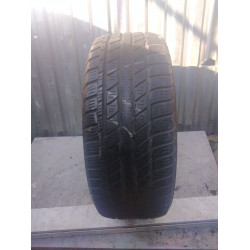 Автошини GT Radial Champiro WT-AX 215/55 R16 XL 97H 6мм  Зимова Б/У