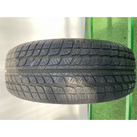 Автошини Winter Fortuna 195/65 R14  89T   Зимова Б/У