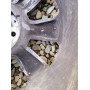 Диск литий Renault  R16 6.5j PCD4*100 ET43 DIA60.1 (сірий)|8200400279-B|