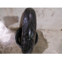 Dunlop Sportmax  120/70 R17
