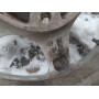 Диск литий Borbet  R15 7.0j PCD4*108 ET35 DIA72.6 (сірий)|KBA43191|