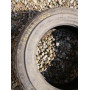 Автошини Michelin Trx As 170/65 R365  82H 6.5 мм  Всесезонна Б/У