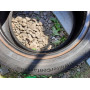 Автошини Continental ContiWinterContact TS830 205/55 R16  91H 5мм  Зимова Б/У